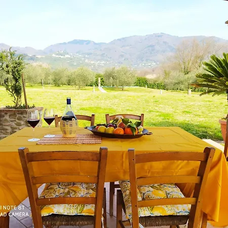 Ringo, The True Tuscany
