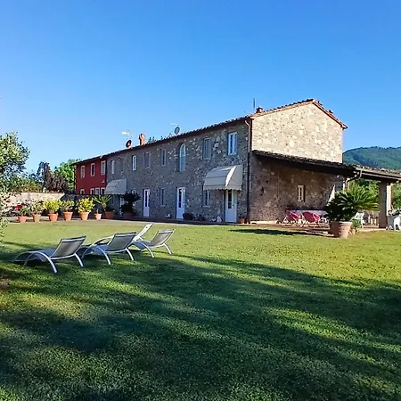 Ringo, The True Tuscany *